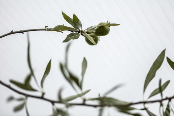 Kanalplade termotag detaljebillede